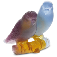 Budgerugars Couple- Perruches Ambre Daum Animals