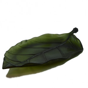daum-leaf