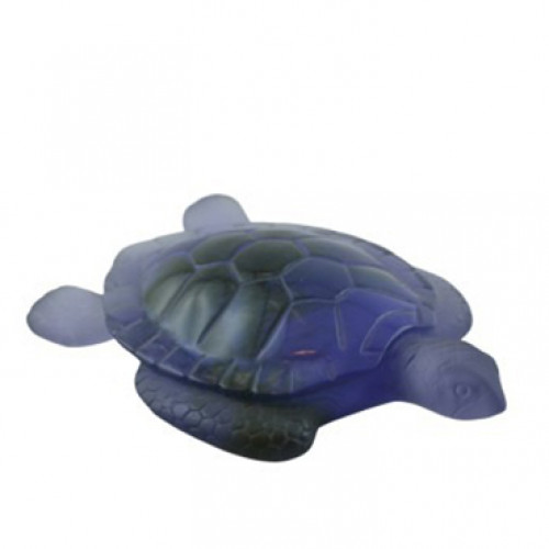 Sea Turtle Tortue Mer Daum Animals