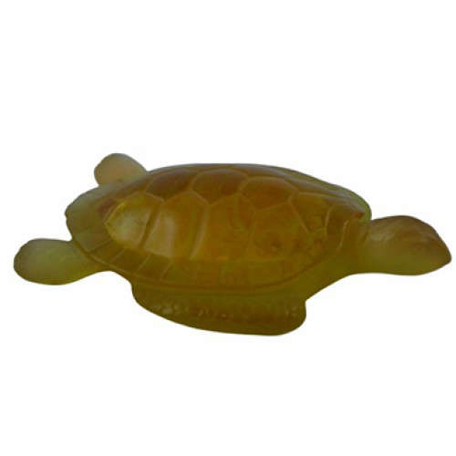 Sea Turtle Tortue Mer Daum Animals