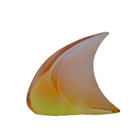 Xavier Carnoy Fish Daum Animals