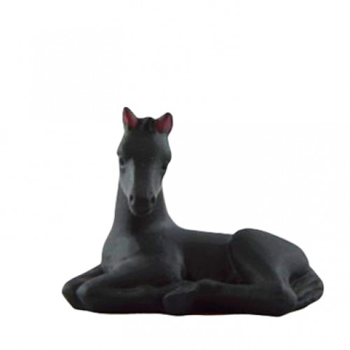 Foal Poulain Daum Animals