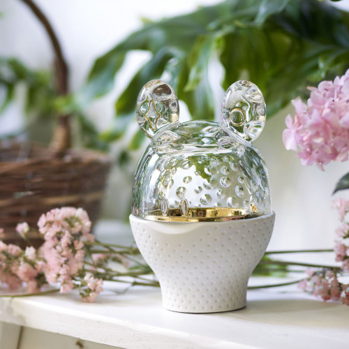 Zoo Box Frog – Faunacrystopolis Baccarat Animal