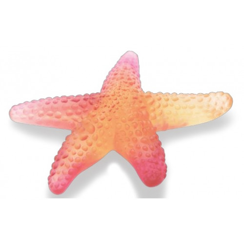Starfish Red – Etoile de Mer Rouge Aurore Daum aurore