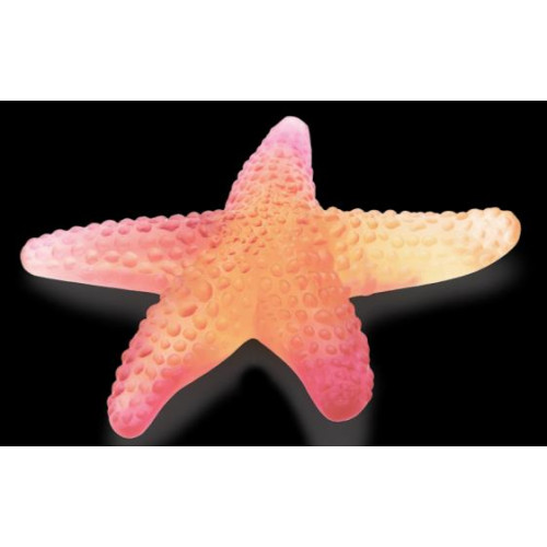 Starfish Red – Etoile de Mer Rouge Aurore Daum aurore