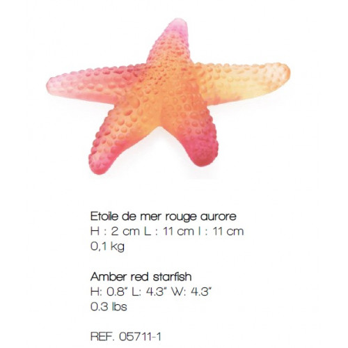 Starfish Red – Etoile de Mer Rouge Aurore Daum aurore