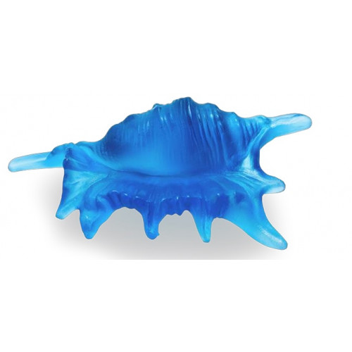 Small Shell Blue – Conque PM Bleu Sin categoría bleu