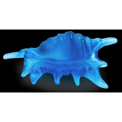 Small Shell Blue – Conque PM Bleu Sin categoría bleu